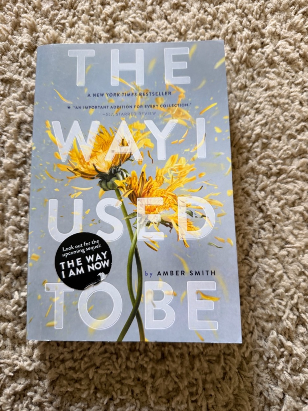 The Way I Used to Be & The Way I Am Now by Amber Smith (2-Book Series) - Picture 2 of 6